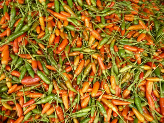 Ganz schön scharf...!