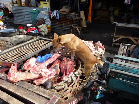 Die Knochen neben dem Fleischmarkt finden einen begeisterten Abnehmer