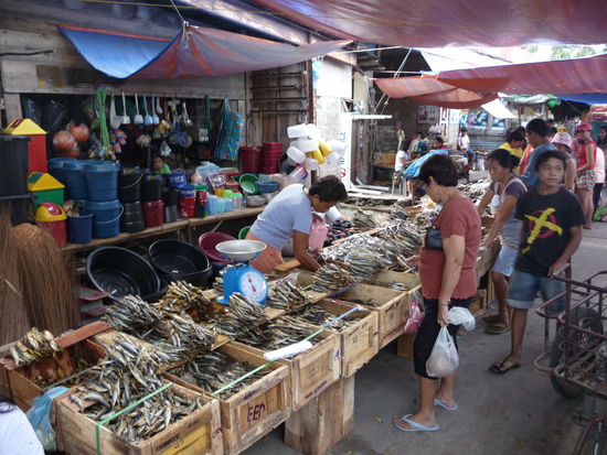 Fisch - trocken und stinkend