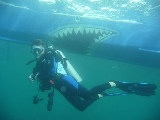 Andrea, tauch ruhig näher ran - der Hai will nur spielen...