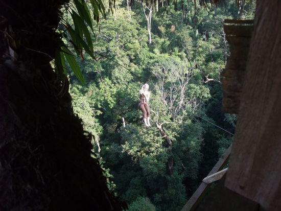 [Das ist der Anflug in ein Baumhaus. "Hoffendlich kann ich gut landen"]