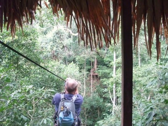 Start, und ab in den Wald. Die Landefläche wartet schon auf mich!