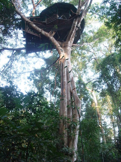 Es ist schon beeindruckend so ein Haus in 50m Höhe