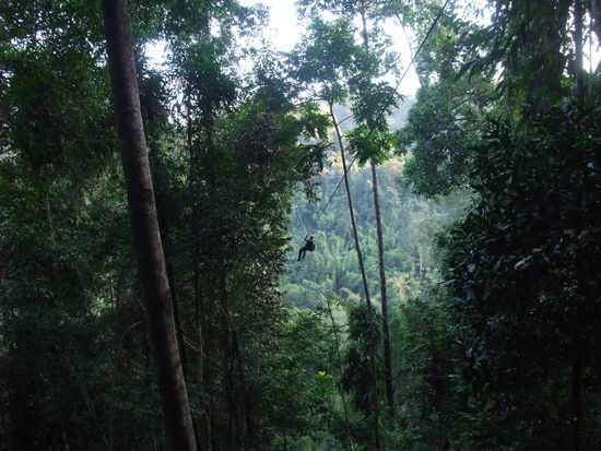 Auf dem Weg zum Baumhaus, wir sind gespant was auf uns zukommt.