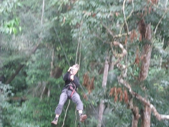 Auf dem Weg ins neue Baumhaus unter dem Motto "nur Fliegen ist schöner".