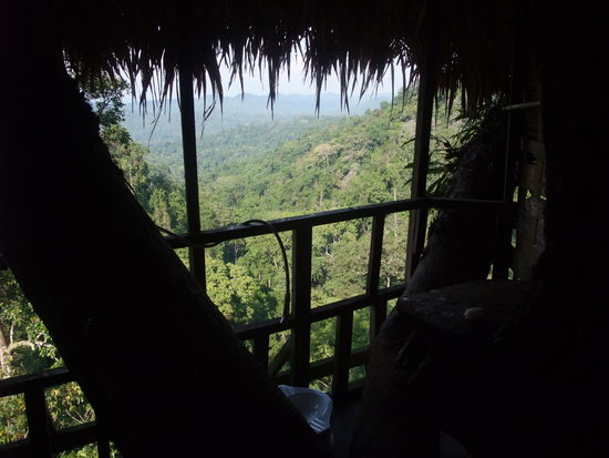Auch eine Touilette war im Baumhaus, dass war besonders für die ängstlich unter uns wichtig!