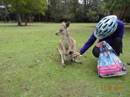 Hier konnte ich sogar in den Beutel schauen- spaeter kam es auch noch raus