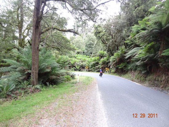 [verweis=Ein kleiner Ausschnitt aus dem besagten Maerchenwald- hier vorwiegend die herrlichen Farne]Dein Linktext hier...[/verweis]