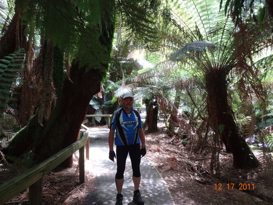 Auf dem Weg zum Russels Fall