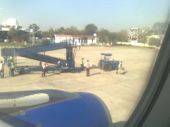 Bulldog am Flughafen