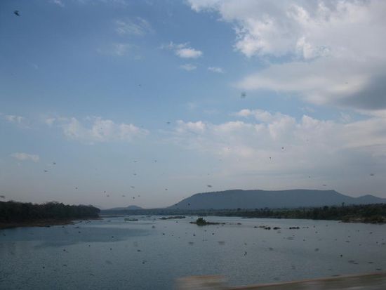 Dschungel von Indien