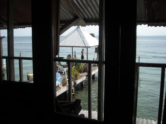 Blick aus meinem Bett!