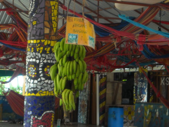 Im Hostel:Bananen fuer alle 