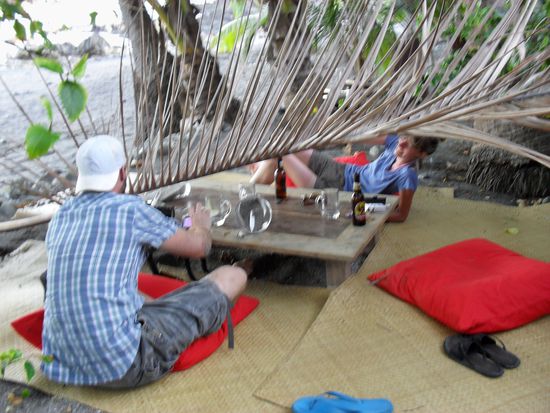 Tiger und Cindy, fast vom Palmenast erschlagen!