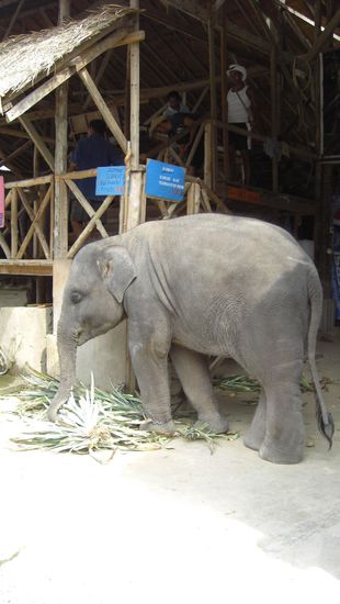 Die sieht man hier ziemlich oft... Ne tour steht auf dem Wunschzettel 