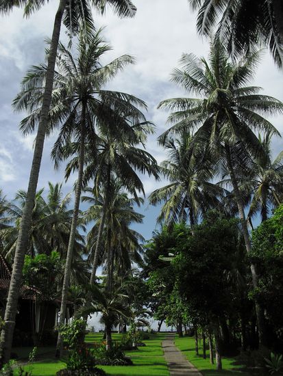 Der Weg zum Strand...