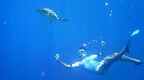 es war wirklich traumhaft...