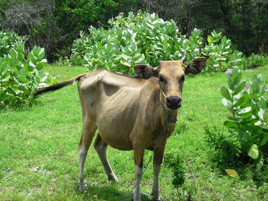 Aber hier gab es auch einiges zu sehen 