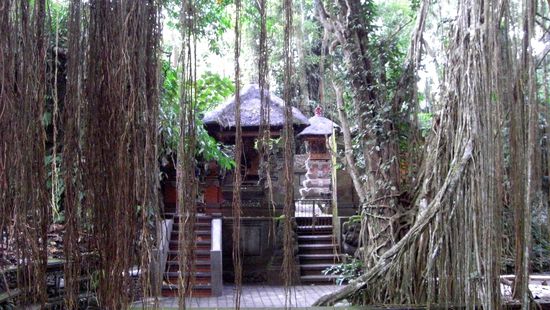 überall kleine Tempel im Wald