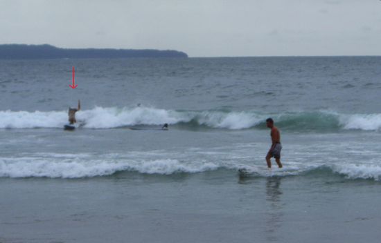 Surfen kann auch wehtun... Schaut euch mal das Maedel unter dem roten Pfeil an.. autschi autschi