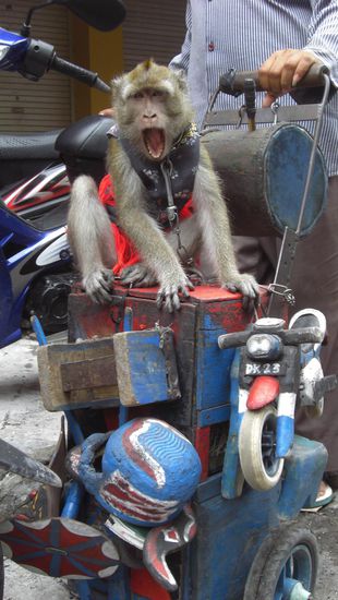 @Anika - wie waers mit dem??