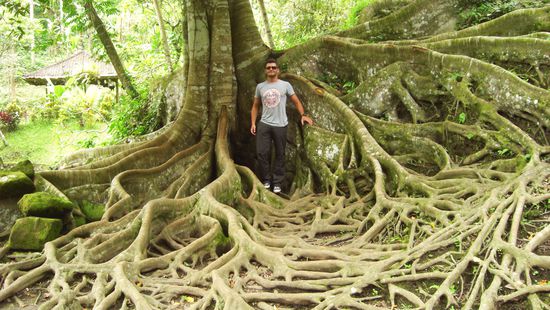 Der war im Vergleich zu einigen anderen noch ziemlich klein...