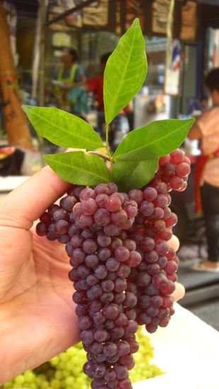 Miniweintrauben und exotische Fruechte an jeder Ecke..