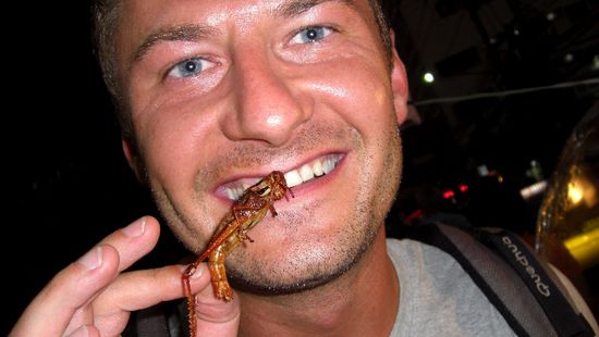 Die wiederum waren wirklich knusprig und lecker.. leicht nussiger geschmack