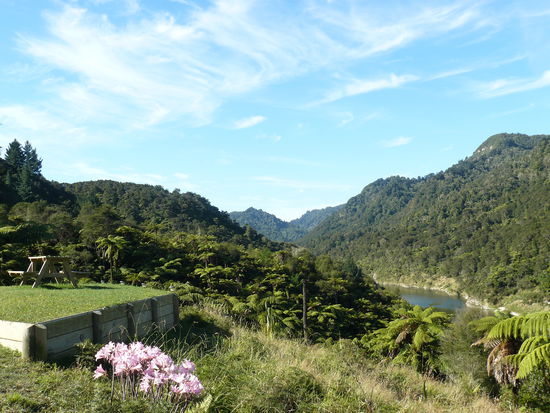 blick von der bridge of nowhere lodge