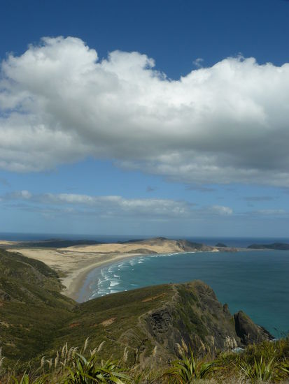 dünen bei cape reinga