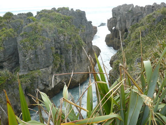 pancake rocks...der wahnsinn! ich sag nur the power of mother nature...
wenn flut ist spritz das wasser zwischende felsen hoch und es macht einen hoellenlaerm. hat mir super gut gefallen es ist nur 500m von meinem hostel weggewesen. ausser einem touricafe usw ist dort sonst nix. man fuehlt sich also nicht gestresst, weil man nicht das gefuehl hat etwas zu verpassen.
