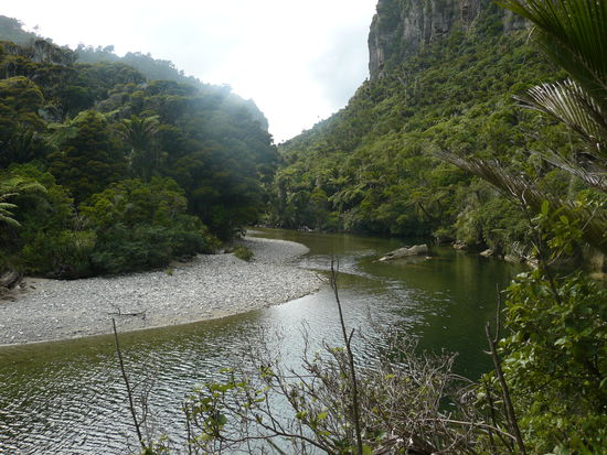 the punakaiki river walk...echtes dschungelfeeling!den bin ich mit anna-lisa aus seattle gelaufen. 3,5h entlang des flusses, war echt schoen! da haben wir auch unser erstes tier gesehen, ein huhnaehnliches tier, wir haben es the funny chicken getauft.
am ende mussten wir auch einen fluss durchqueren und unsere schuhe ausziehen. zum glueck hatte ich meinen wasserdichten sack fuer unsere fotos dabei. ach ja ...das foto des flusses folgt unten.