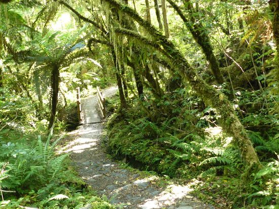 gruen gruen gruen ist alles was ich sehe ....