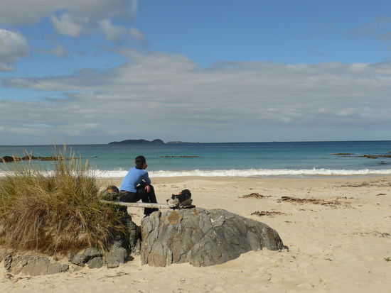 die sandfliegen kann man leider nicht sehen