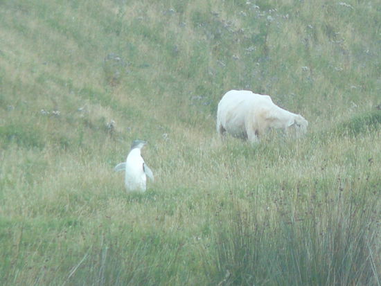 ungewohnter anblick!?