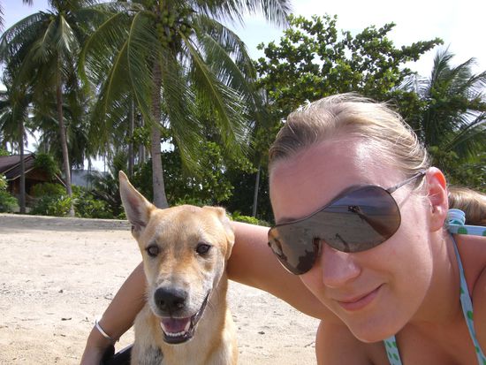 Thailands Liveguard im Hintergrund unser erster Bungalow auf Phangan