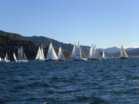 51 Boote haben teilgenommen!