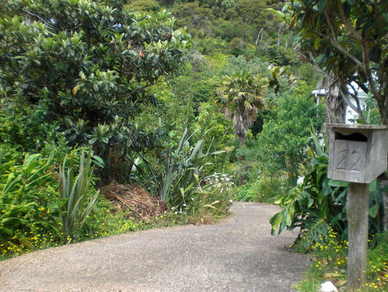 miro road 22, waihiki