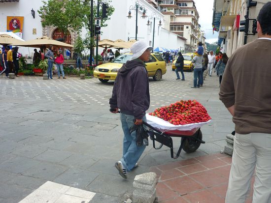 ein ganzer Schubkarren voll mit Erdbeeren - die haben so gut gerochen