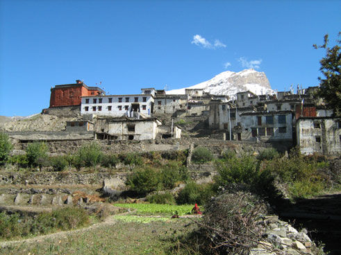 Jarkot