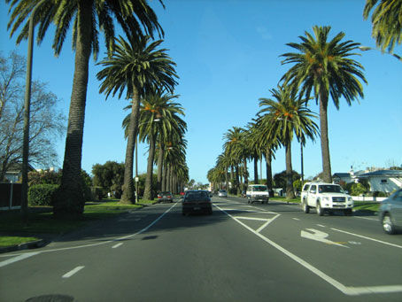 Kennedy Road in Napier