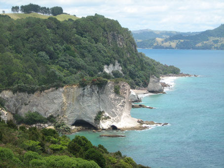 Blick von oben auf den Strand von Cathedral Cove