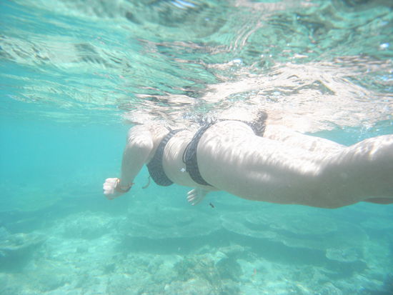 In sicherem Abstand zu den Korallen