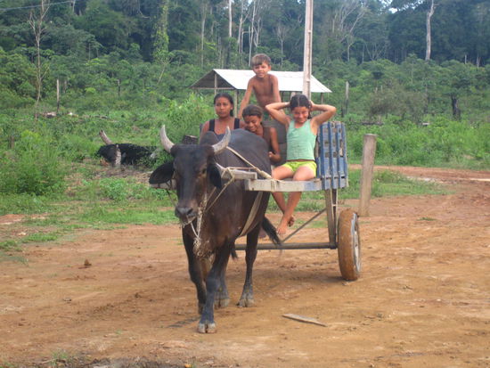 Sie haben zwar Elektrizitaet, jedoch keine motorisierten Fortbewegungsmittel...