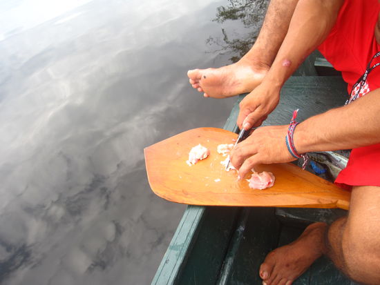 Das Huehnerfleisch wird in mundgerechte Stuecke geschnitten, damit die Fischchen die Gefluegelbrocken auch schoen zuschnappen...