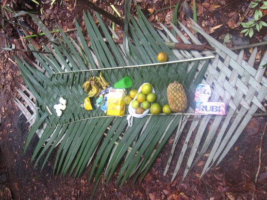 Unser Fruehstueck nach einer mehr oder weniger langen Nacht in der Haengematte. Es gab sogar Kaffee, allerdings mit ein paar pflanzenaehnlichen Bestandteilen darin - schliesslich kam das Kaffeewasser vom nah gelegenen Baechlein.