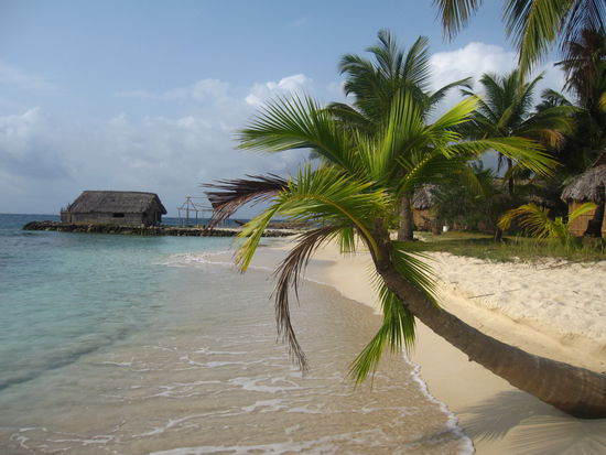 Der traumhafte Strand. Das Wasser war glasklar!
