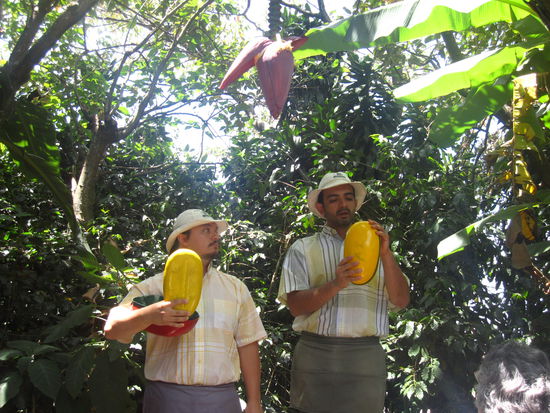 Das Programm war richtig amerikanisiert. Die Fuehrer machten zahlreiche Witze und spielten zwischendurch Theater und lockerten so die scheuen Besucher auf. Das Mittagsbuffet am Schluss des Programms kam mir ebenfalls sehr amerikanisch vor (ich unterlasse an dieser Stelle eine kritische Bemerkung zum Essverhalten dieser Leute- "Was man selber geschoepft hat, soll man auch aufessen", diese Regel sollte nicht nur fuer Kinder gelten!)