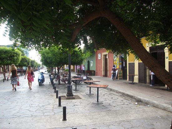 Ausschnitt aus Granada. Am Ende dieses Weges befindet sich der grosse, leider vergiftete See.