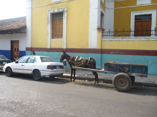 Ueberall sind Pferde und Kutschen in der Stadt zu sehen. Wer will da noch Auto fahren?! 